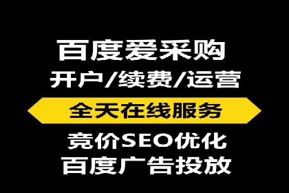 SEM推广技巧：成功案例深度剖析